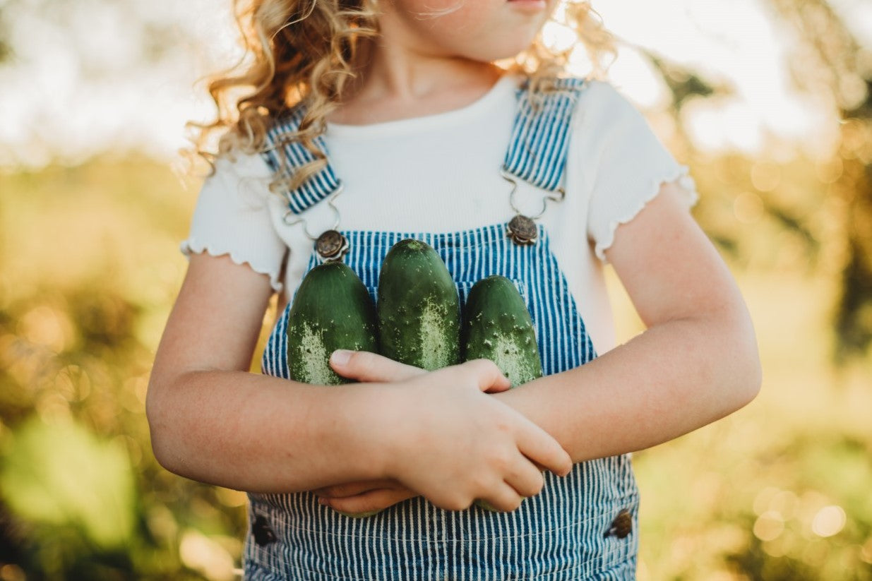 How to Grow Cucumbers by the Bushel