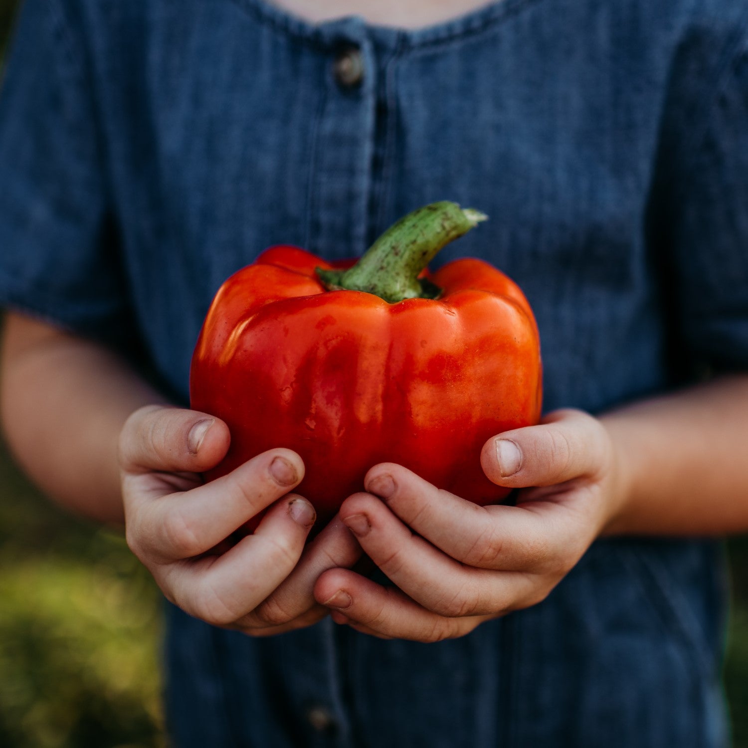 Bell Peppers