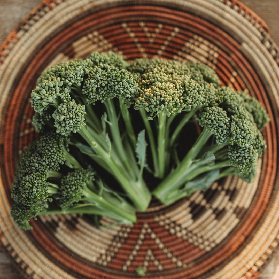 Broccoli