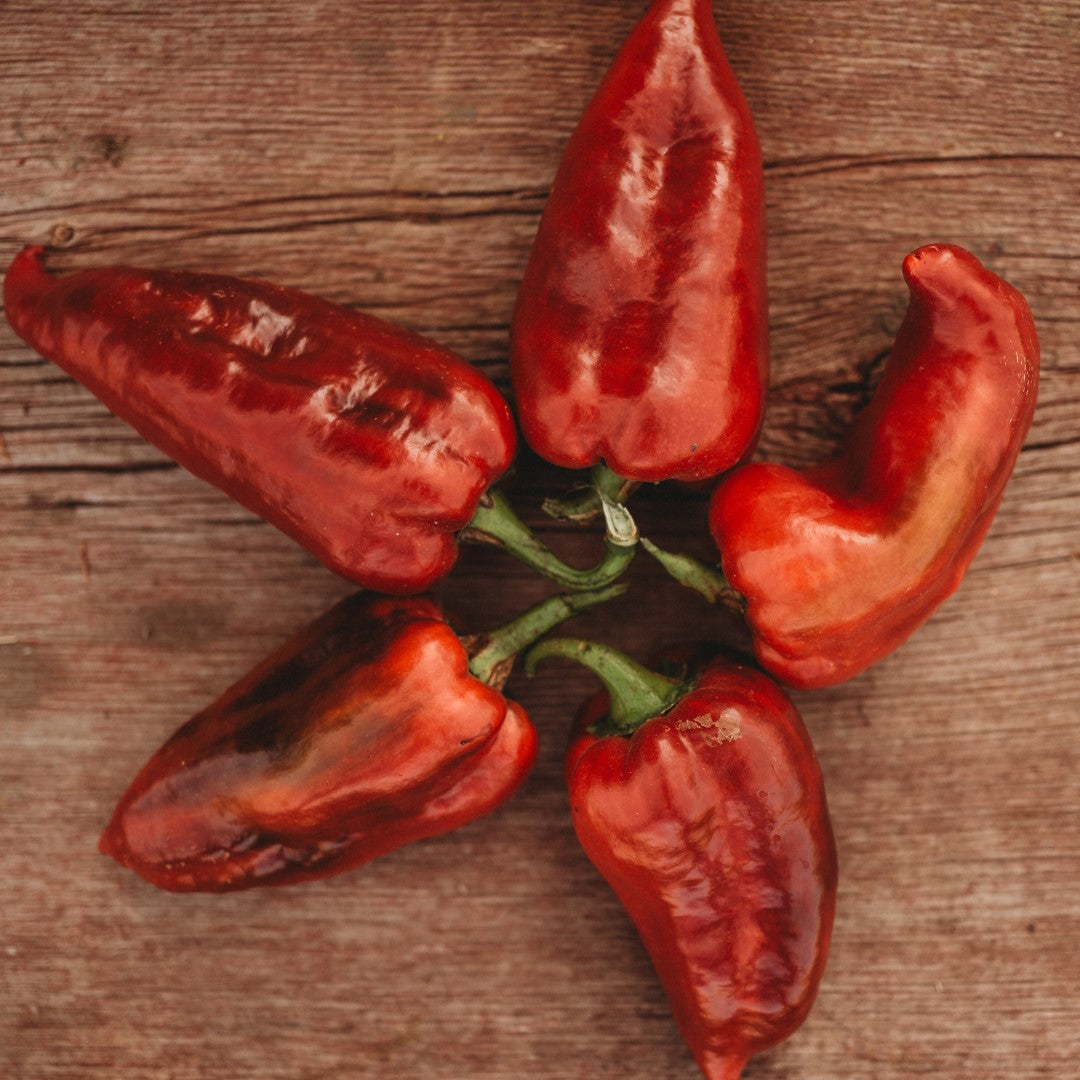 Turkish Garden Seeds
