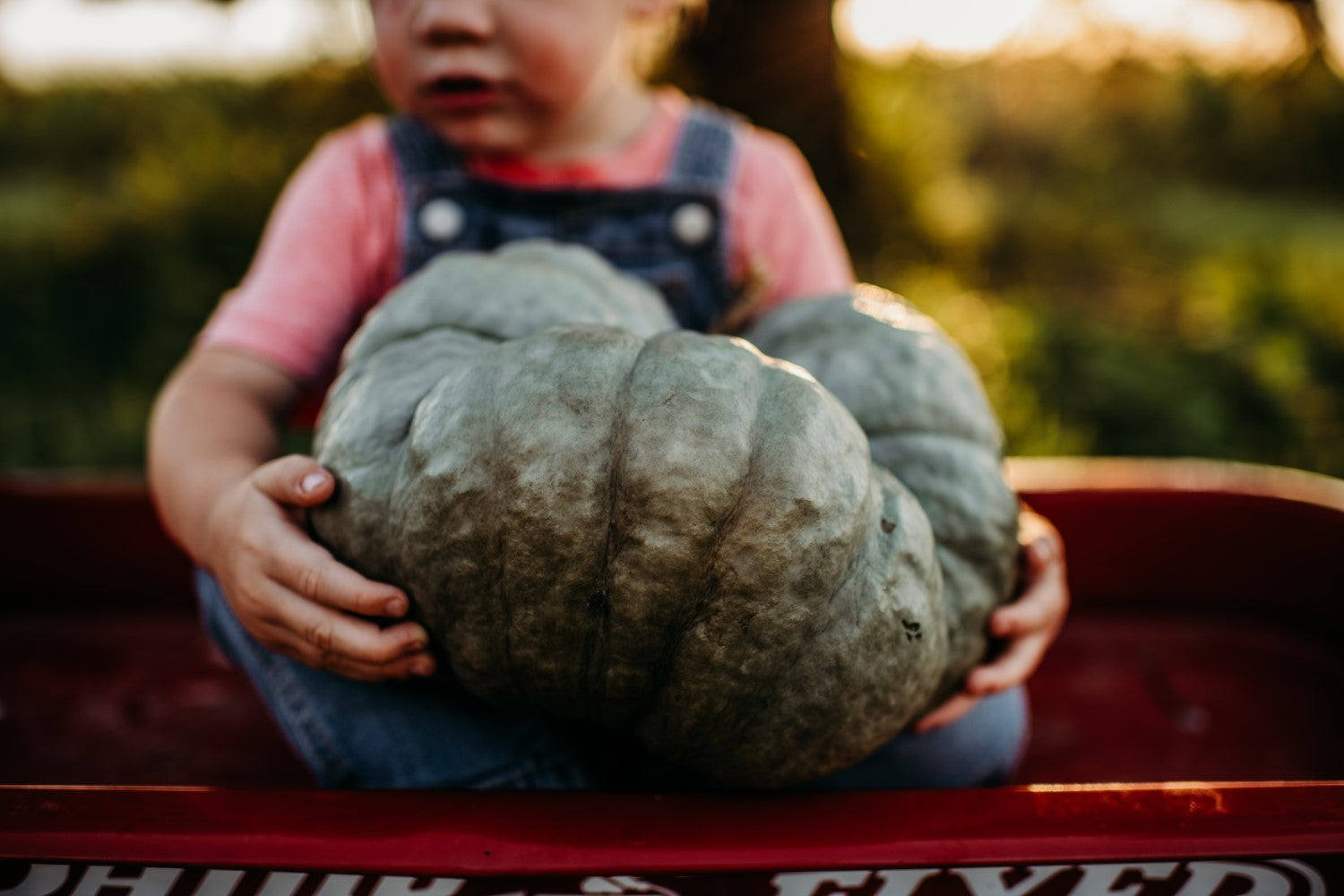 Squash