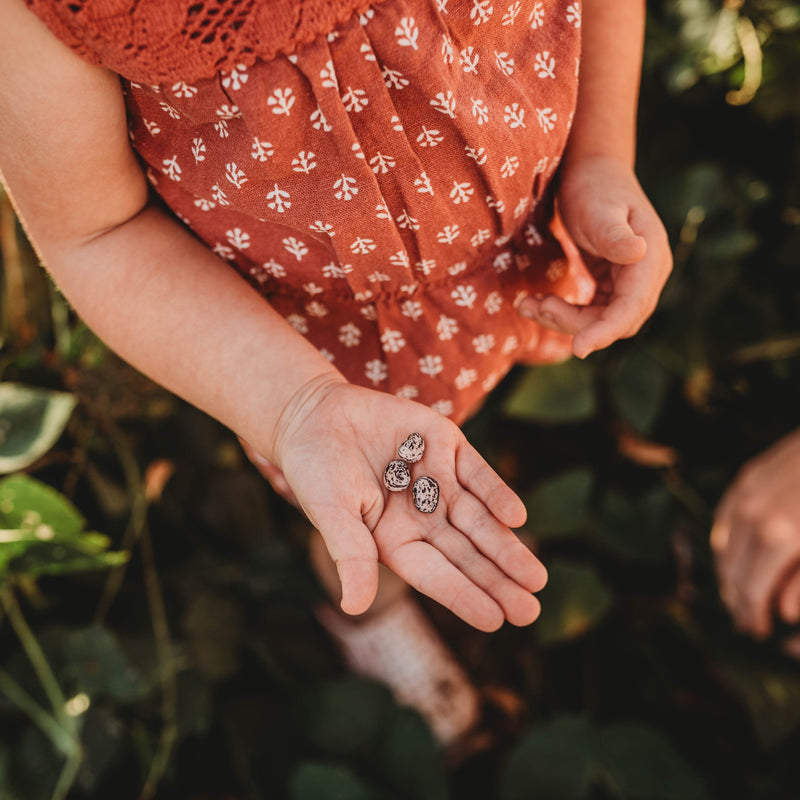 Beans in child's hand