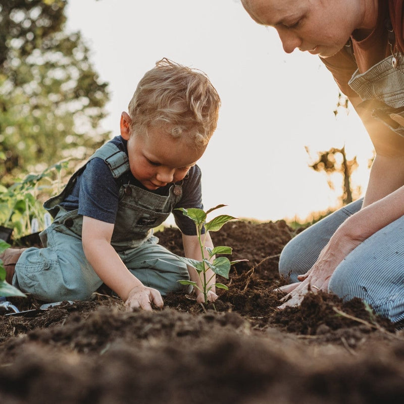 Little boy gardening