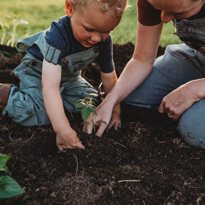 Mom and son gardening