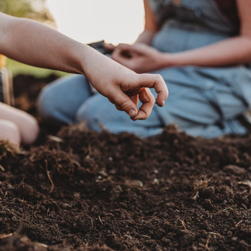 Childs hand planting a seed