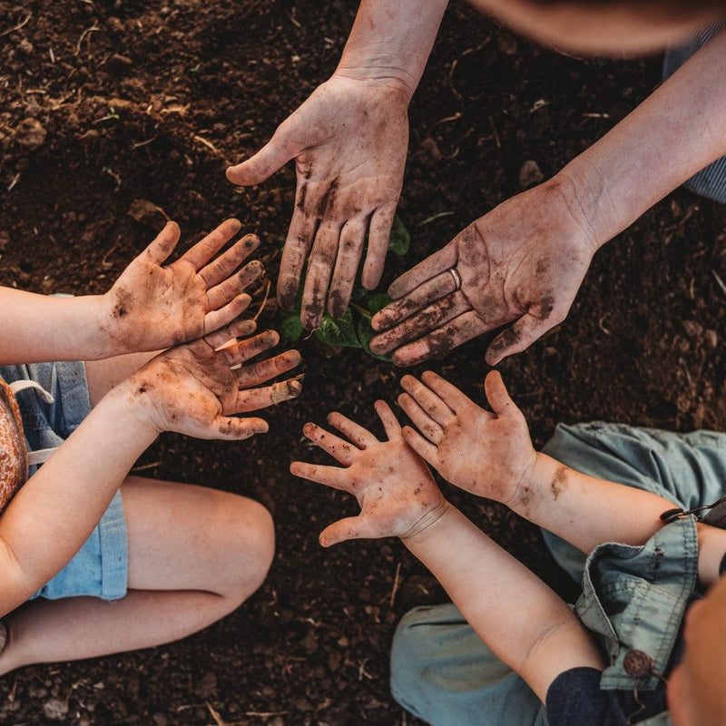 Dirty hands in the garden