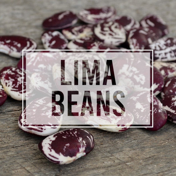 Lima Beans