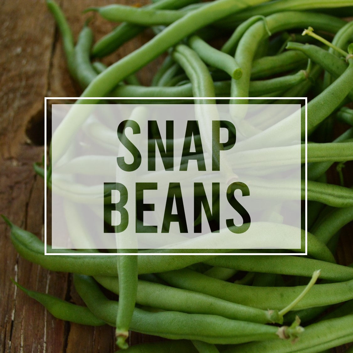 Snap Beans