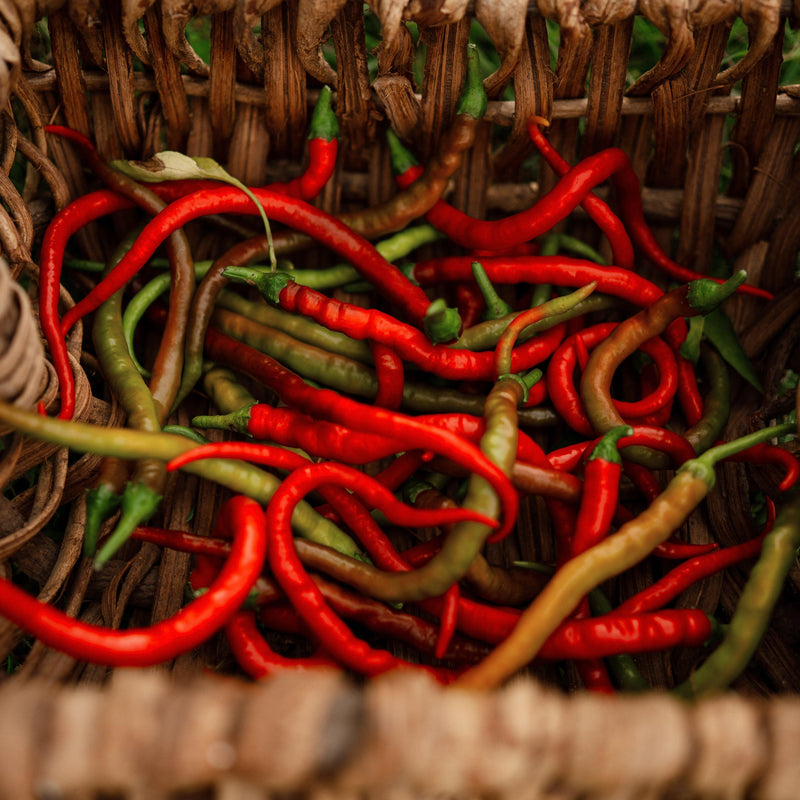 Aci Sivri Kil Pepper