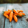 Aji Amarillo Chile Pepper