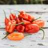 Aji Dulce Pepper