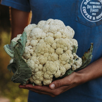 All Year Round Cauliflower