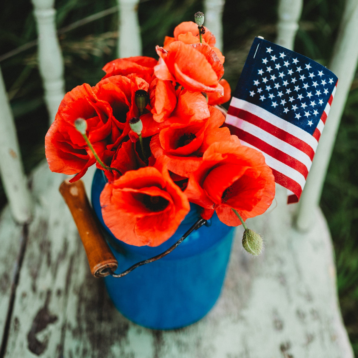 American Legion Red Poppy Seeds