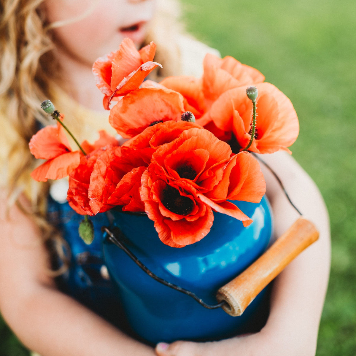 American Legion Red Poppy Seeds