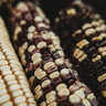 Cherokee White Eagle Corn