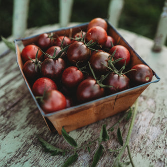 Chocolate Cherry Tomato