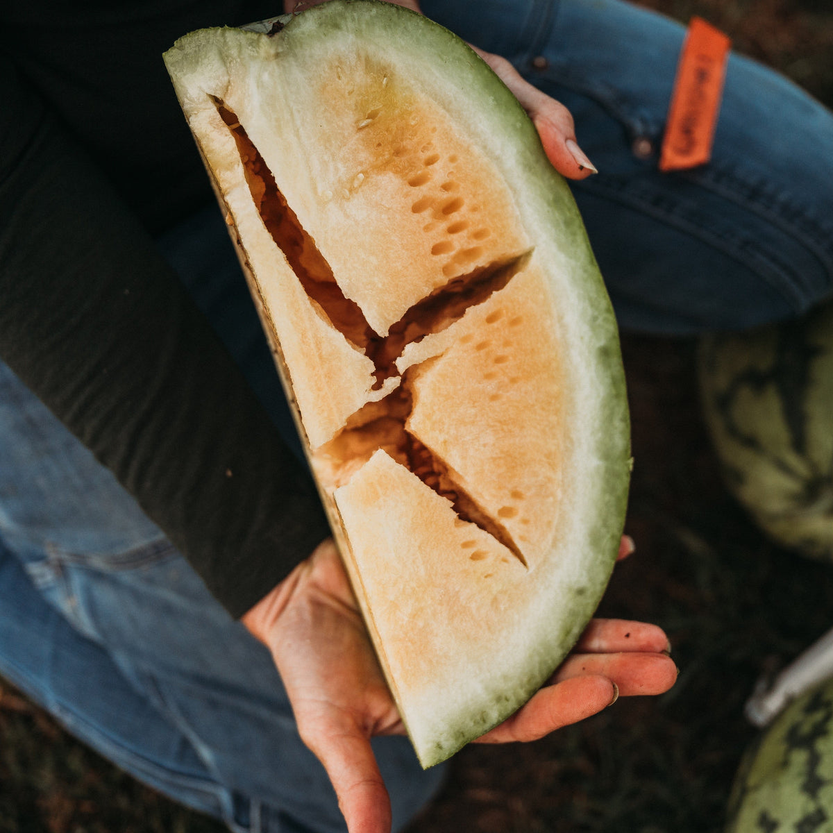Clay County Watermelon