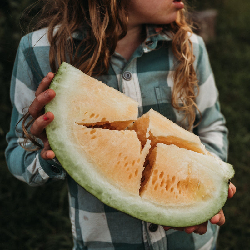 Clay County Watermelon