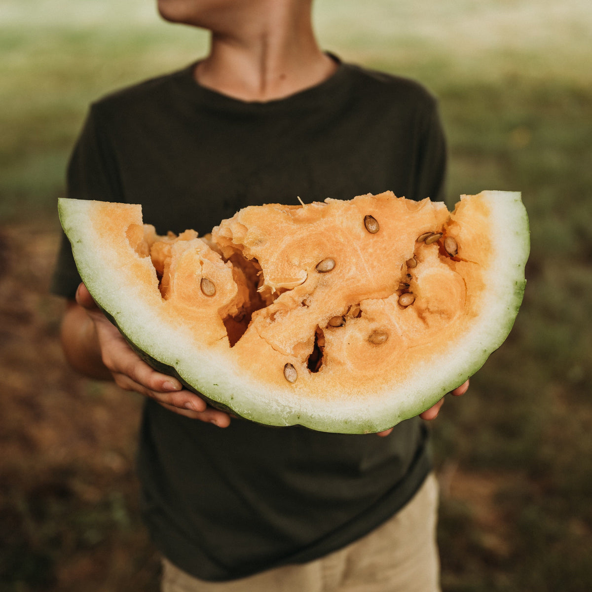 Clay County Watermelon