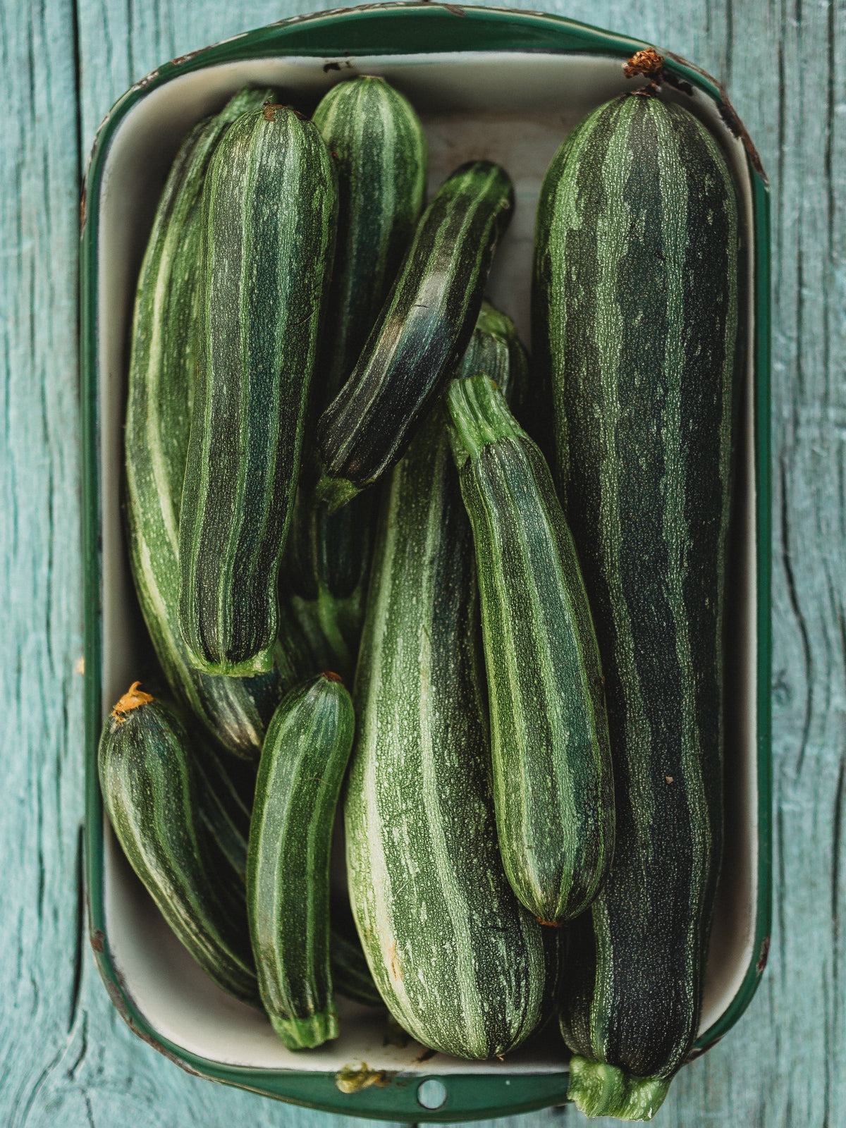 Cocozelle Zucchini