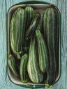Cocozelle Zucchini