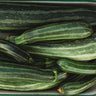 Cocozelle Zucchini