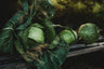 Danish Ballhead Cabbage