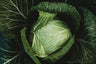 Danish Ballhead Cabbage