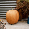 Dickinson Pumpkin