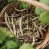Dragon's Tongue Bean
