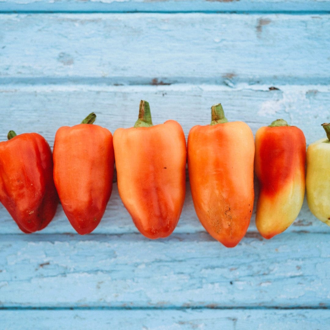 Feher Ozon Paprika Pepper