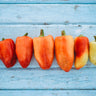 Feher Ozon Paprika Pepper