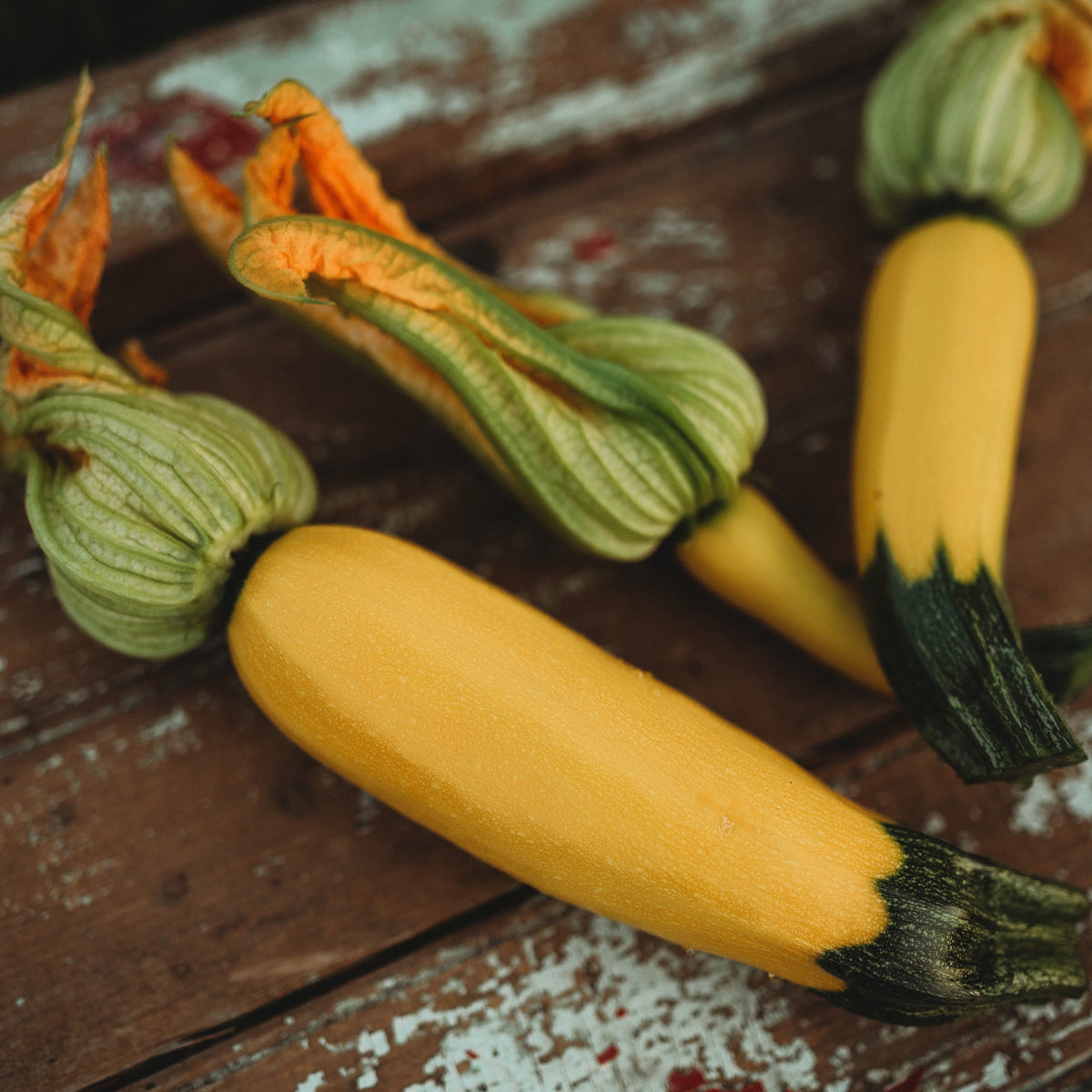 Golden Zucchini