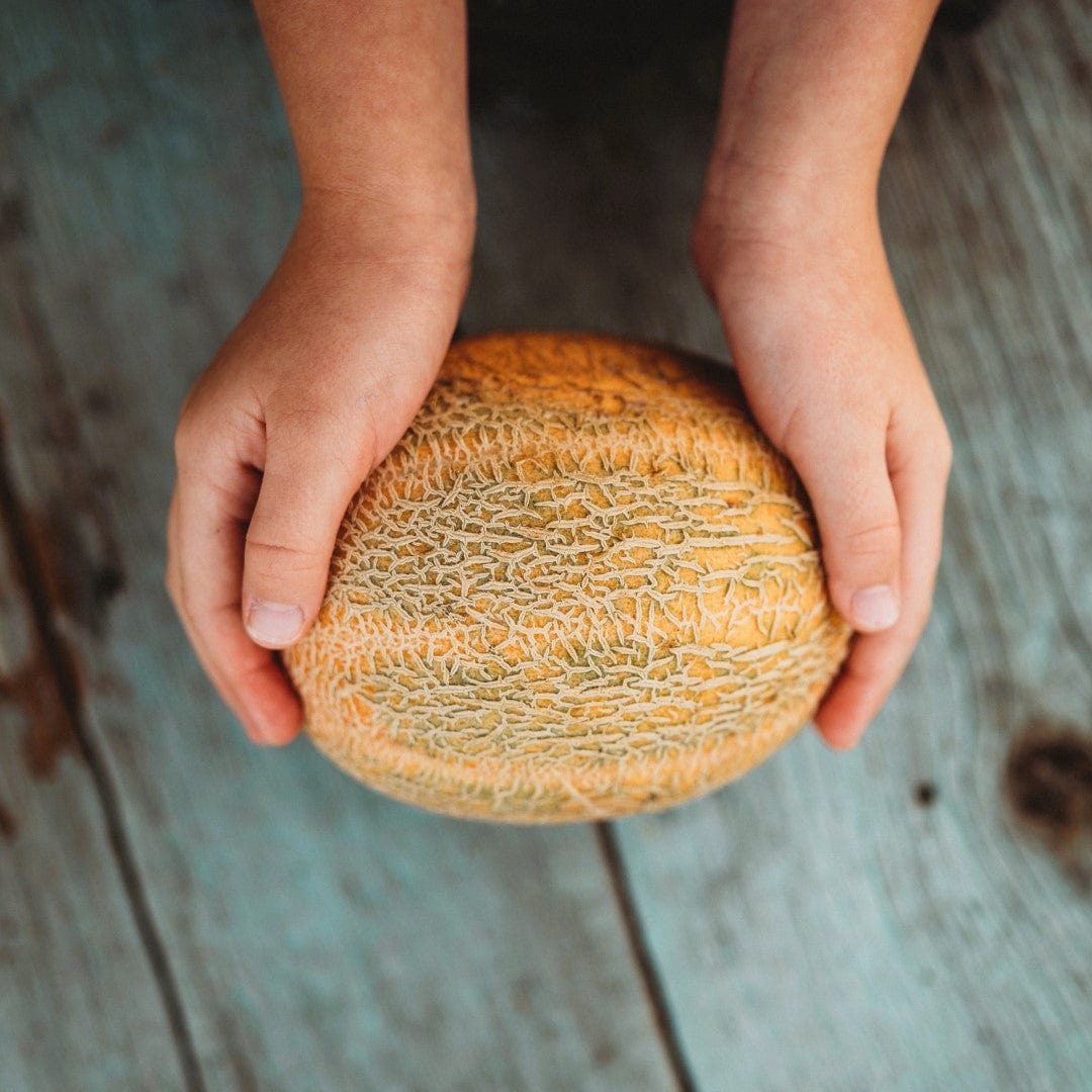 Hale's Best Jumbo Muskmelon
