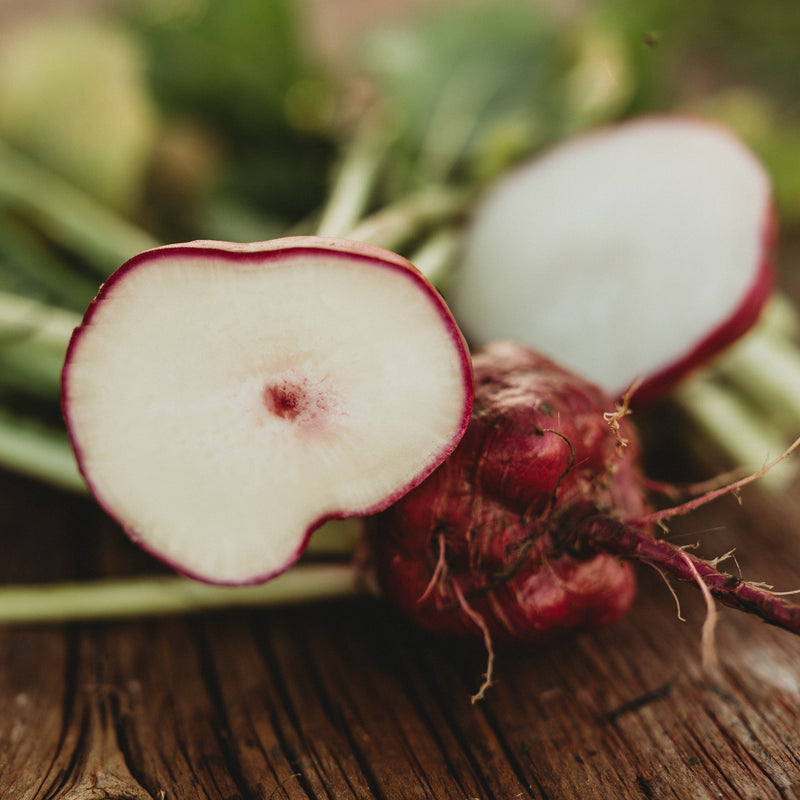 Hida Beni Red Turnip