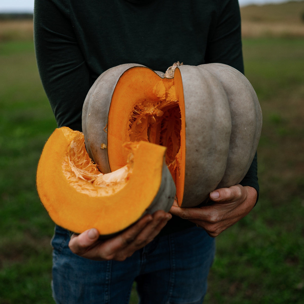 Jarrahdale Pumpkin