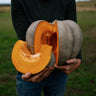 Jarrahdale Pumpkin