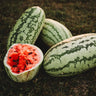 Jubilee Watermelon