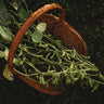 Karikachi No. 3 Edamame