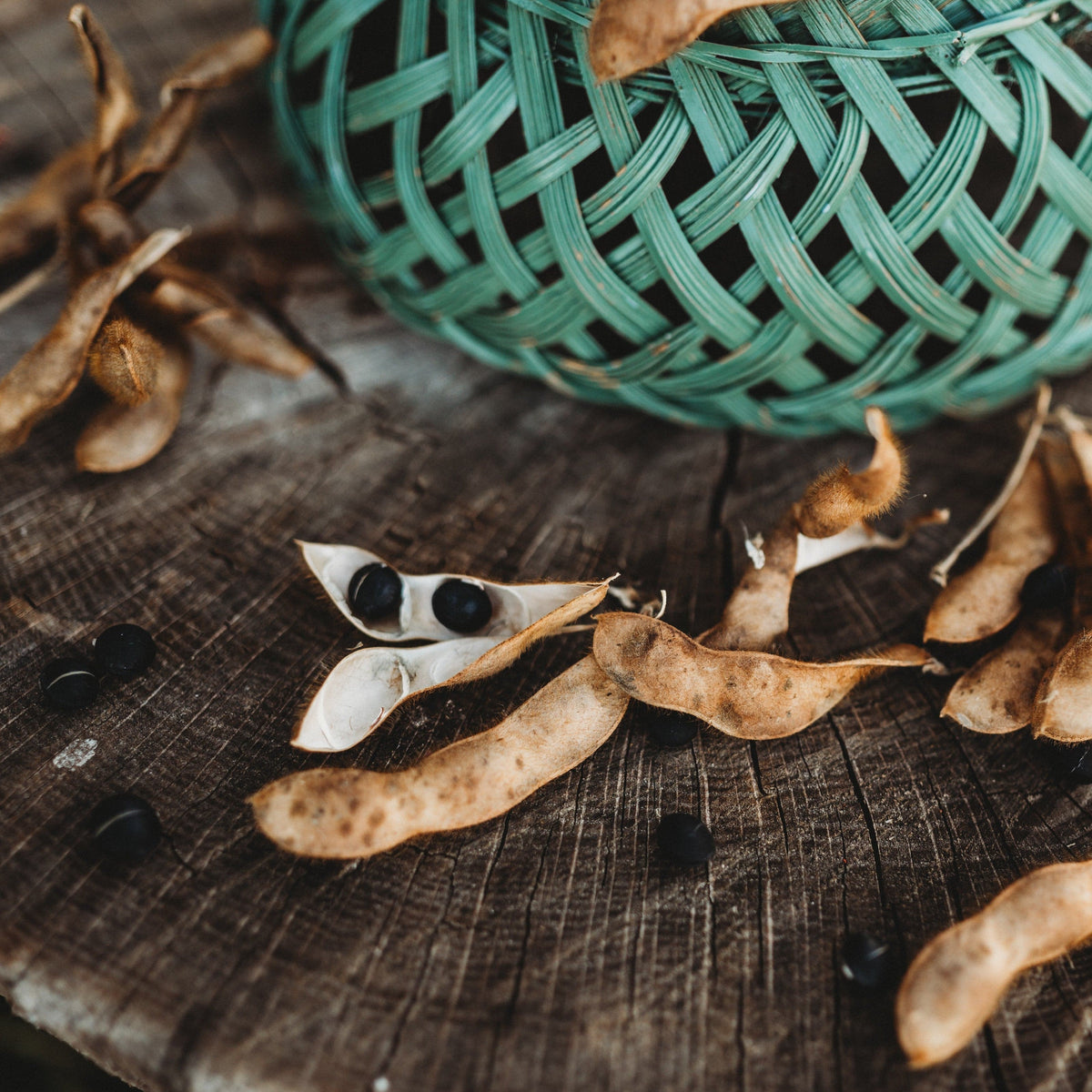 Kuroshinju Black Edamame