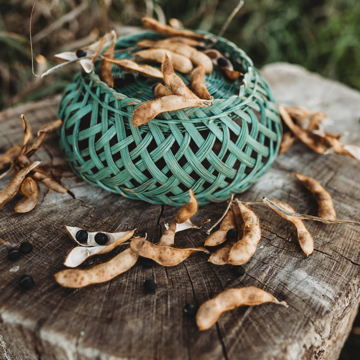 Kuroshinju Black Edamame