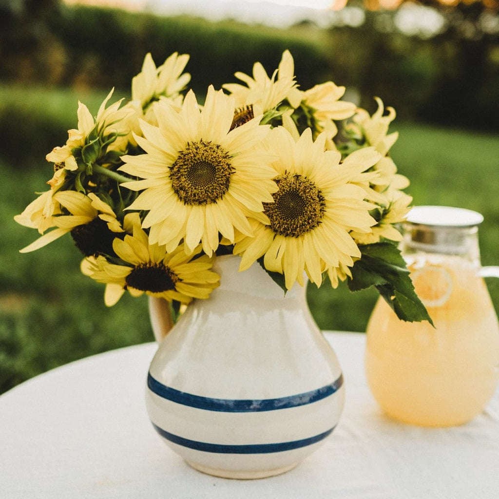 Lemon Queen Sunflower Seeds