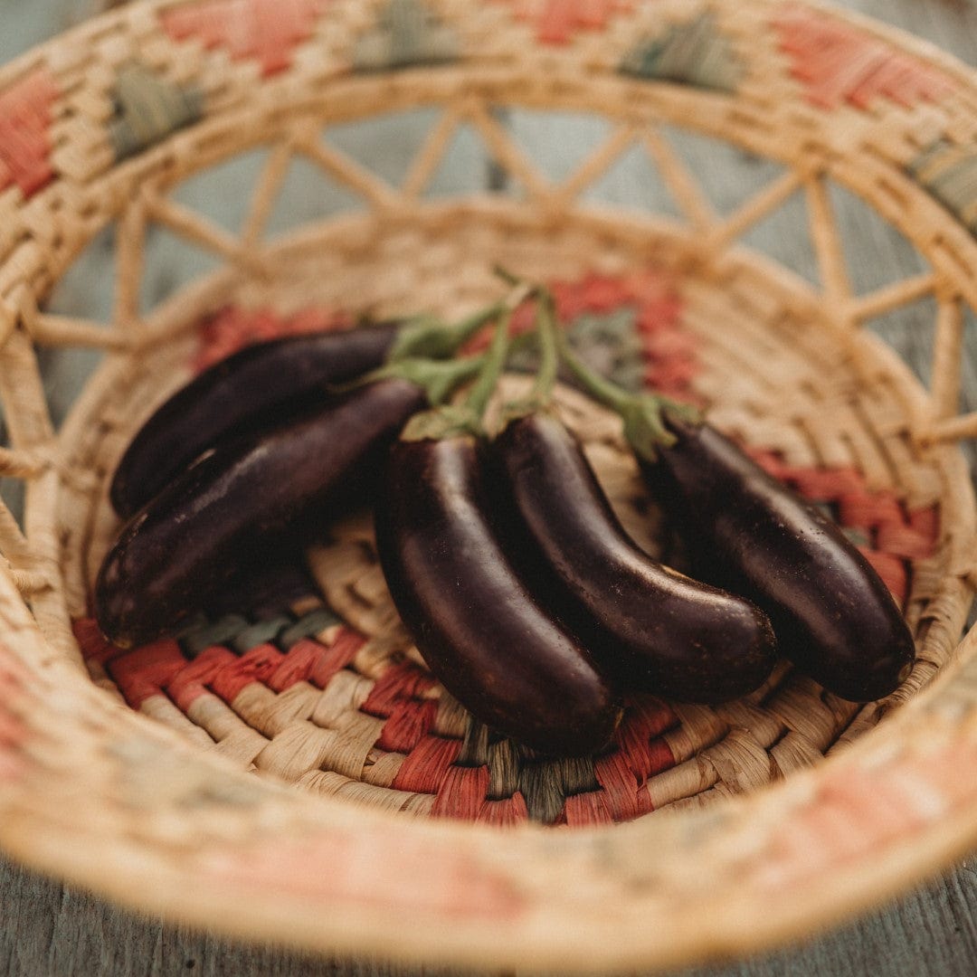 Little Fingers Eggplant
