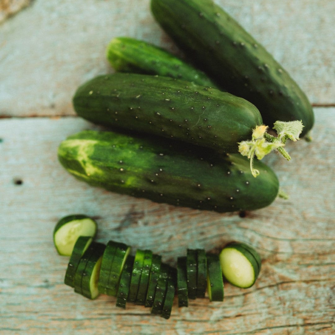 Marketmore 76 Cucumber