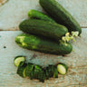 Marketmore 76 Cucumber