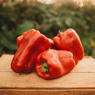 Napoleon Sweet Bell Pepper