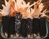 Ohio Blue Clarage Corn