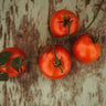 Perestroika Siberian Tomato