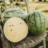Petite Yellow Watermelon