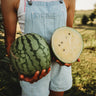 Petite Yellow Watermelon